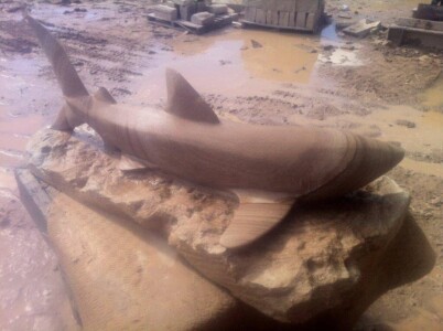 Sandstone Shark Sculpture Brisbane